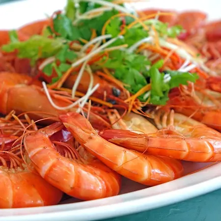 γαλαξίας Άγιοι Πάντες